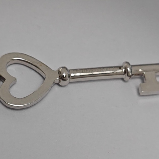 Tiffany 铂金\18k金中号项链-16