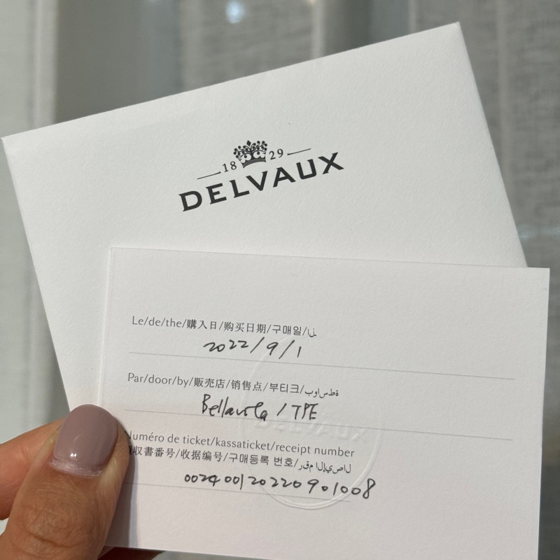 DELVAUX 德爾沃 Tempête PM Crispy Calf｜太平洋藍-9成新-21