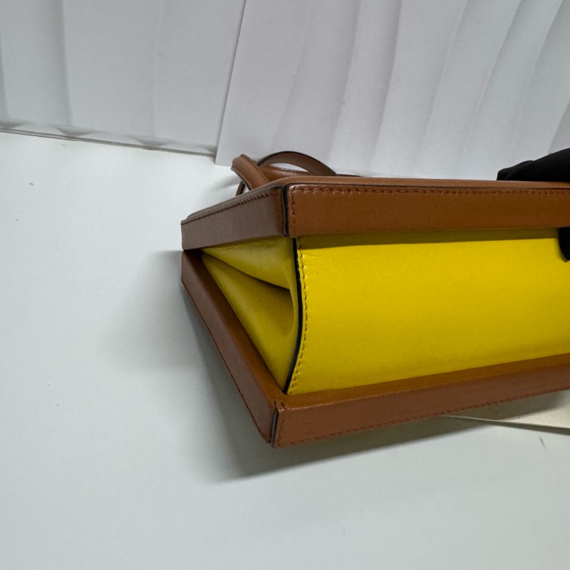 LOEWE / 羅意威 限量Postal 藝術家聯名系列 夾子包-10