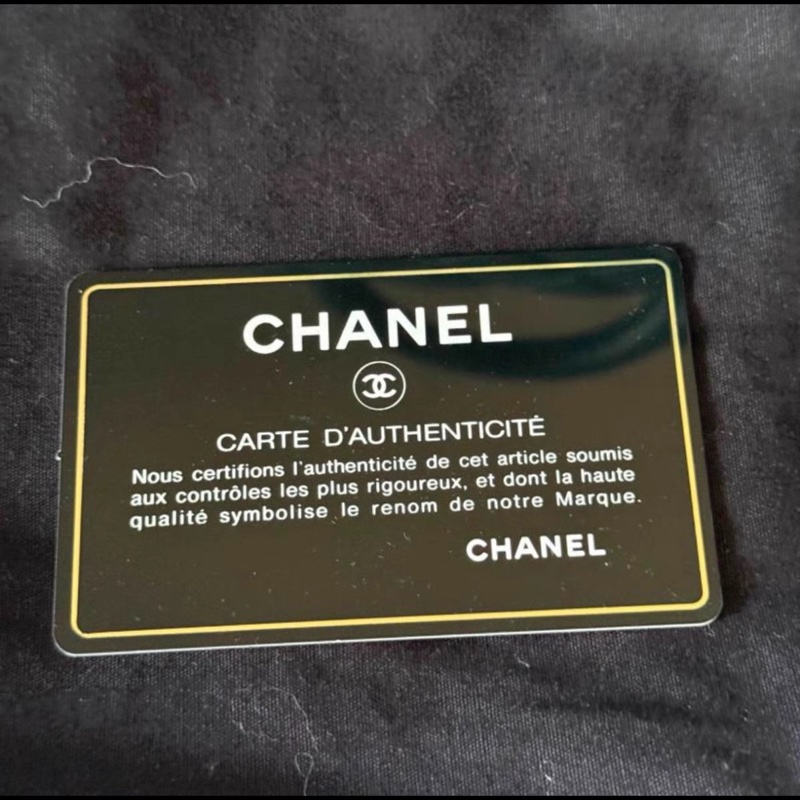 98新 CHANEL 22P春夏 Coco Handle 牛皮仿蜥蜴紋手柄-3