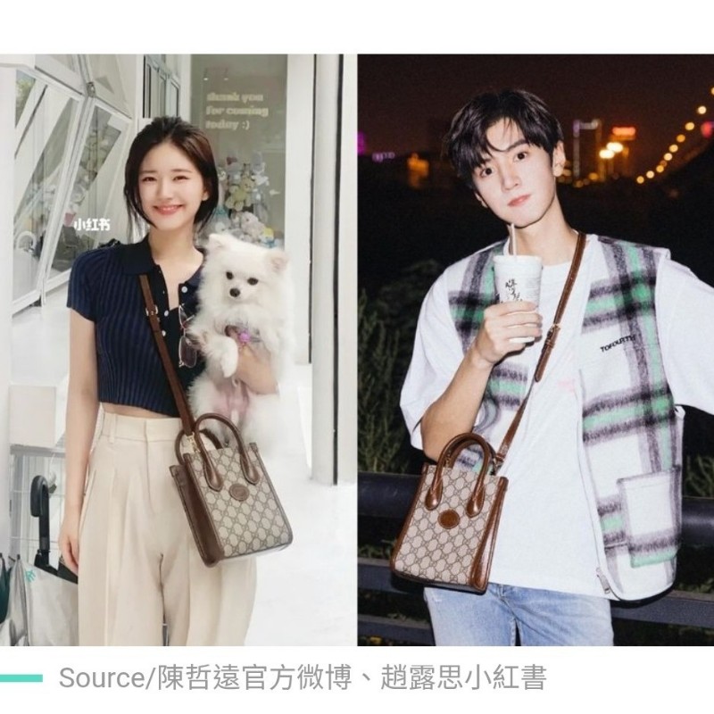 GUCCI 琴譜包/老花/焦糖配色-9