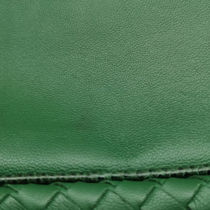 Bottega Veneta 羊皮 蜥蜴皮 純色 Intrecciato 編織 單肩包-16