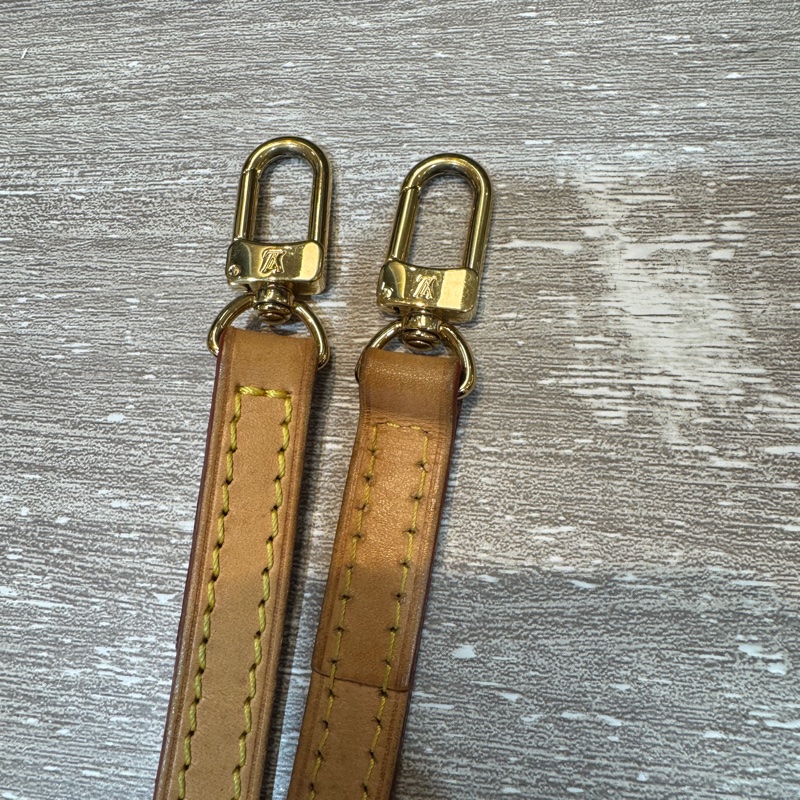 LV原花金牌PochetteEva斜背兩用鏈條包M95567-10