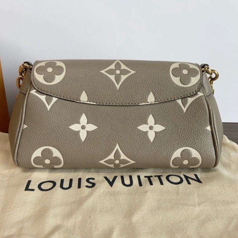 LV 大象灰FAVOURITE肩背斜背雲朵包 芯片款24*14*9 98新配件盒子塵袋-5