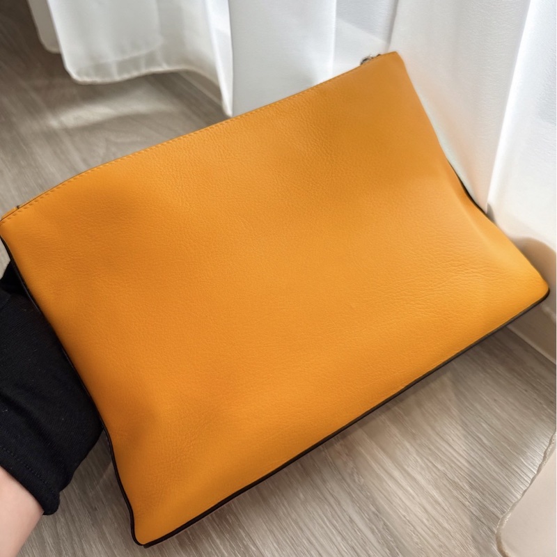 Loewe 椰子樹手拿包化妝包-3