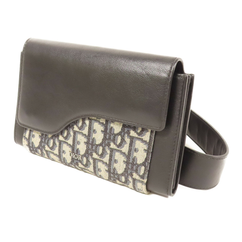 Dior 帆布Elite肩背袋-1