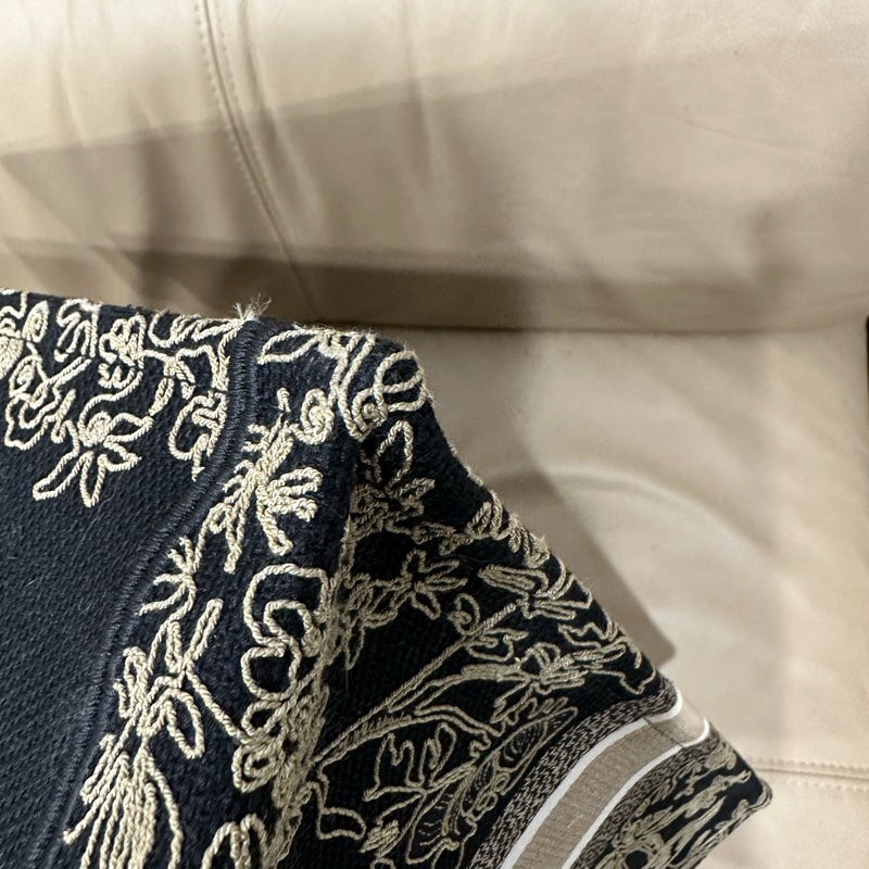 🈶️購證❤️芯片款❤️ Dior #限量款 #金絲線系列 #托特包 #booktote-30