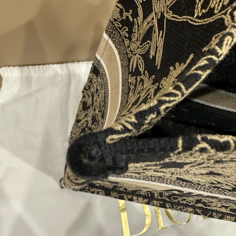 🈶️購證❤️芯片款❤️ Dior #限量款 #金絲線系列 #托特包 #booktote-54