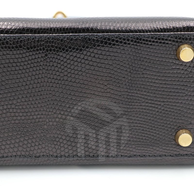 【飛天馬精品】HERMES 愛馬仕-Mini Kelly 20 Niloticus 尼羅河巨蜥 金扣"D刻"-3