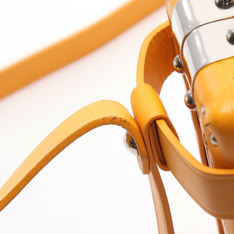 GOYARD Menodiaire Trunk 斜背包 單肩包 帆布 皮革 黃色 多色-6