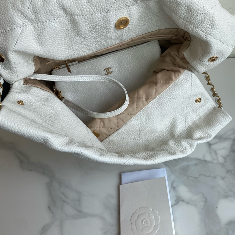 Chanel 垃圾袋白金22bag-19