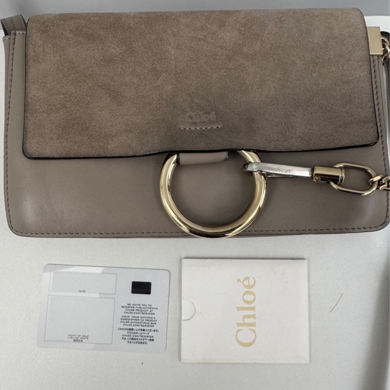 Chloé Faye 小號肩背包-15