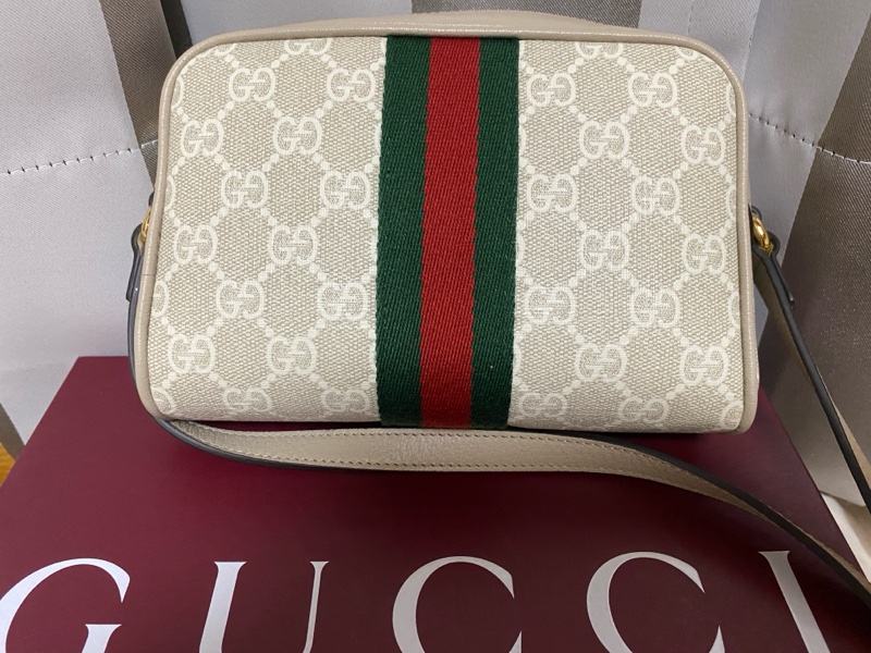 gucci ophidia小相機包-1
