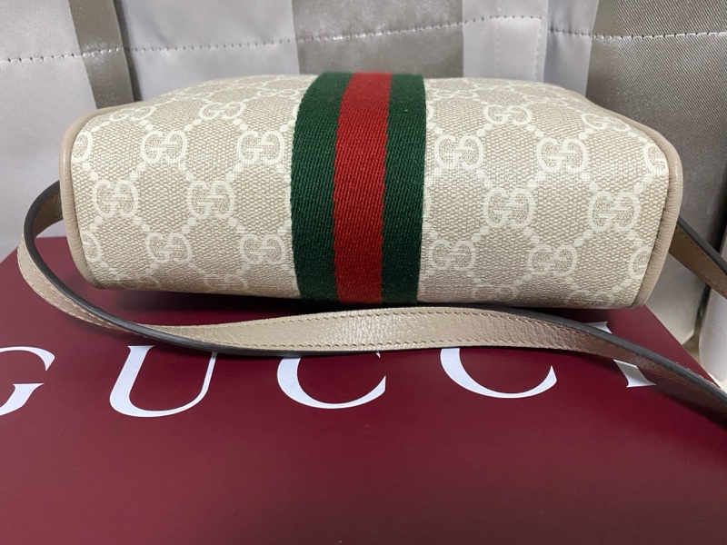 gucci ophidia小相機包-2