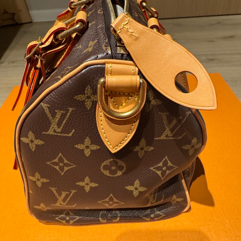 Louis Vuitton speedy p9 25-2