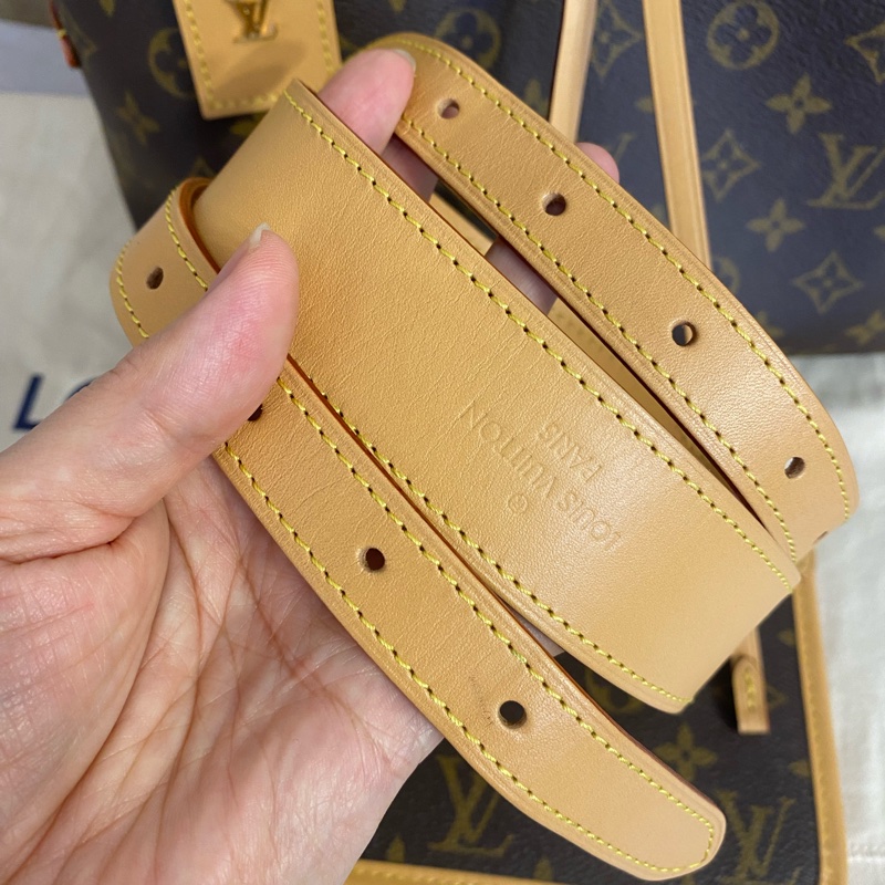 Louins Vuitton 老花Carryall PM小號 單肩斜背包 芯片款-5