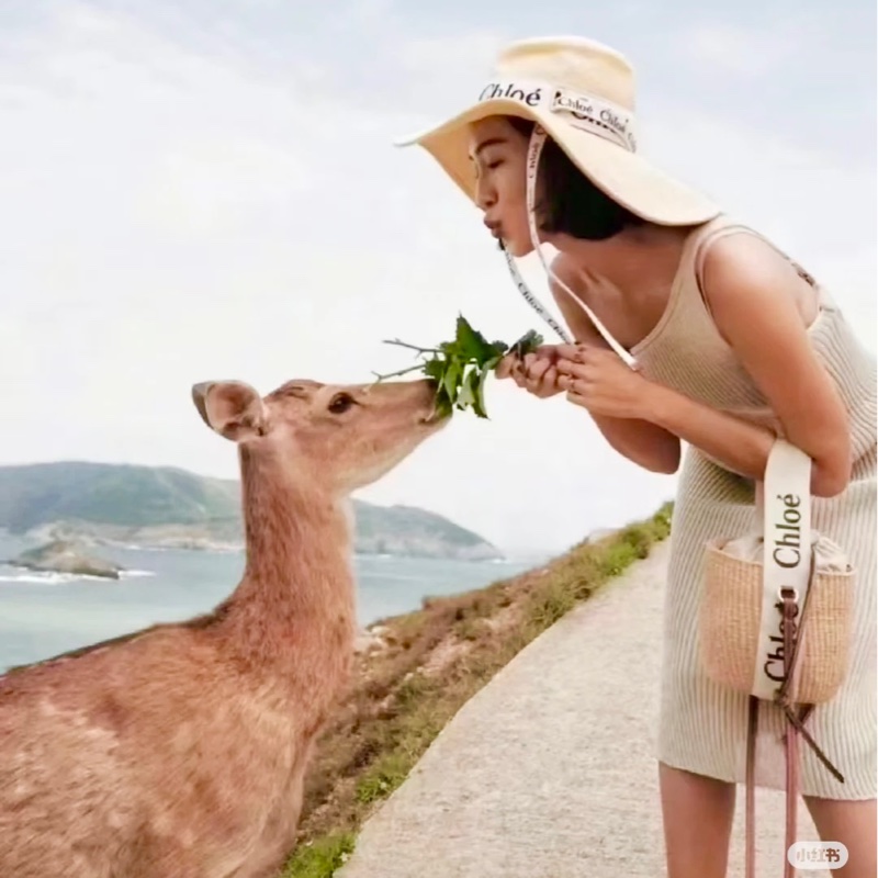 Chloe woody 經典草編水桶包-6