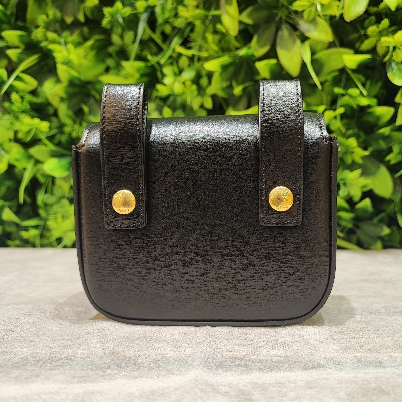Celine Belt Bag Triomphe-2