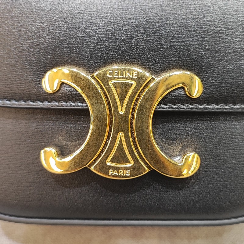 Celine Belt Bag Triomphe-15