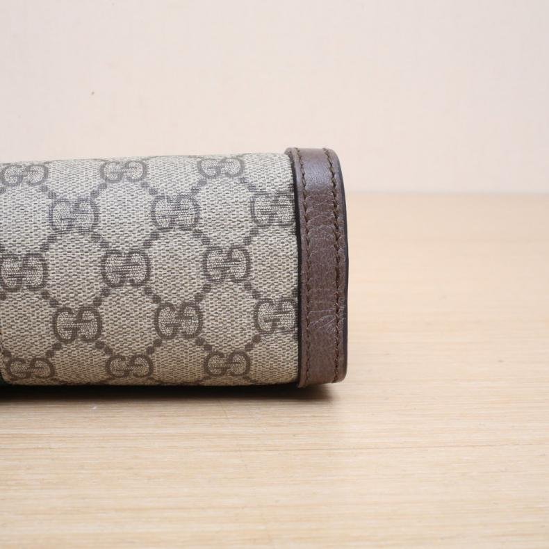 Ophidia 夾子包 小號 26 老花 PVC 金扣-3