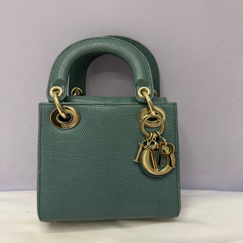 dior 黛妃包 蜥蜴皮-0