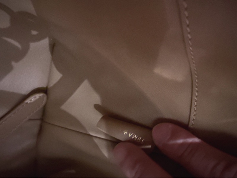 Dior Toujours 豎版 手提包斜背包-8