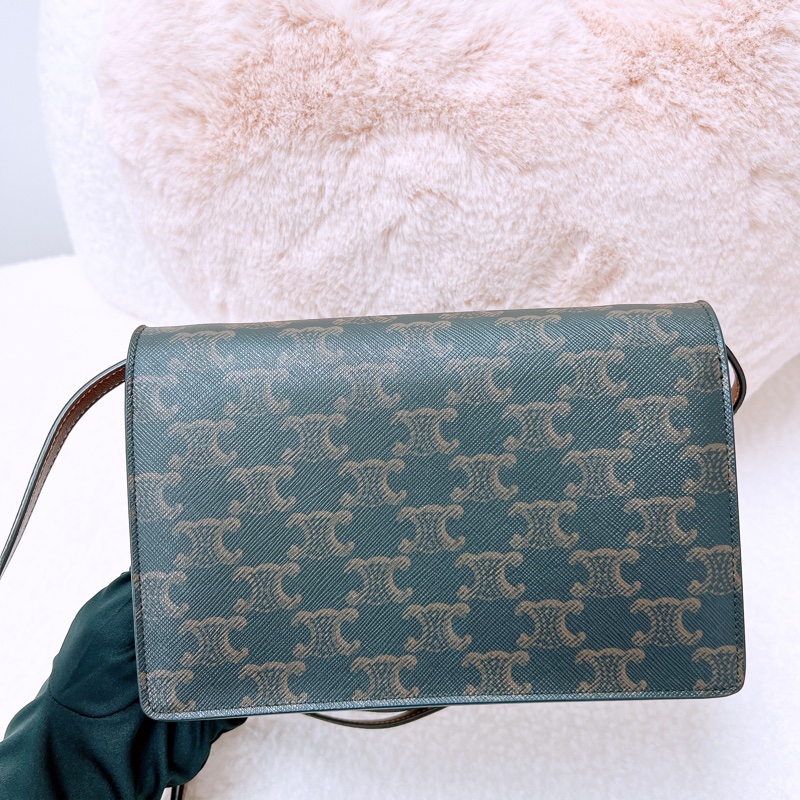 Celine wallet on strap woc 老花斜挎/腋下包-5