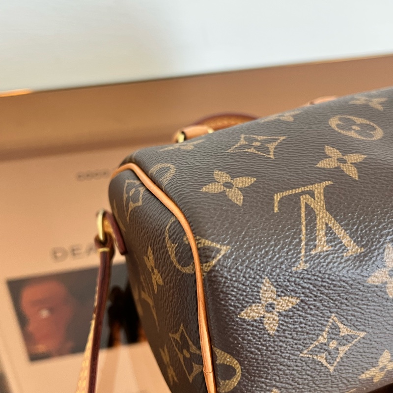 #全網最便宜#停產 Louis Vuitton Speedy Nano枕頭包-16