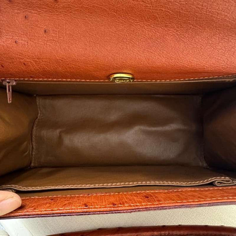 Chloe' 鴕鳥皮手提包-5