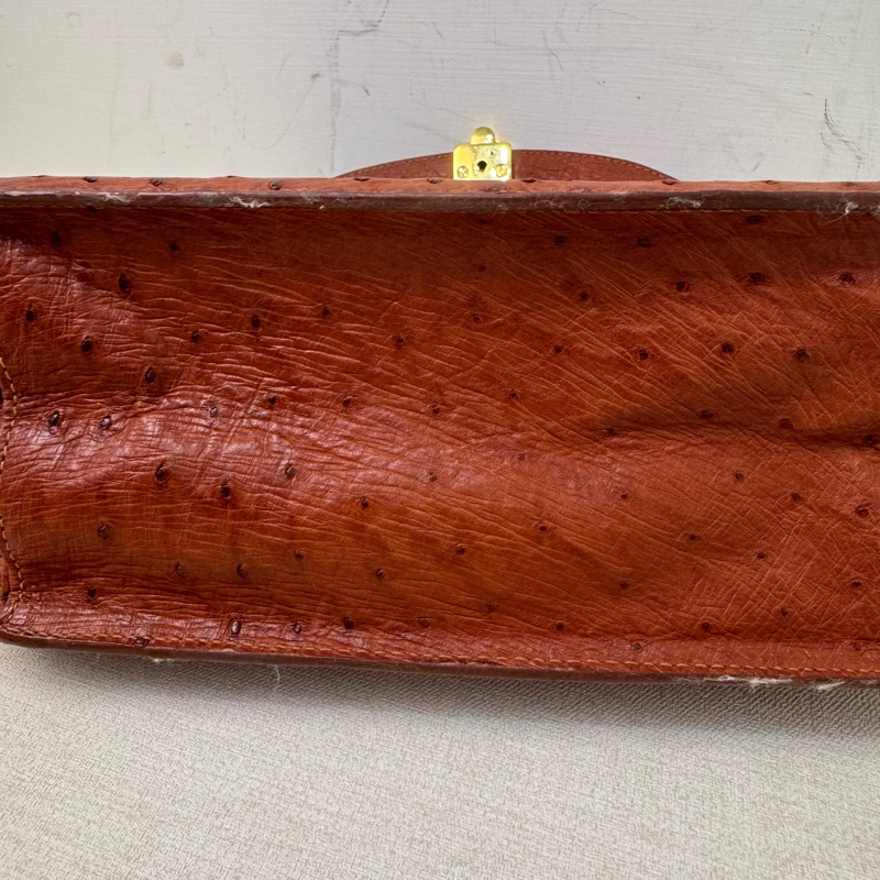 Chloe' 鴕鳥皮手提包-9