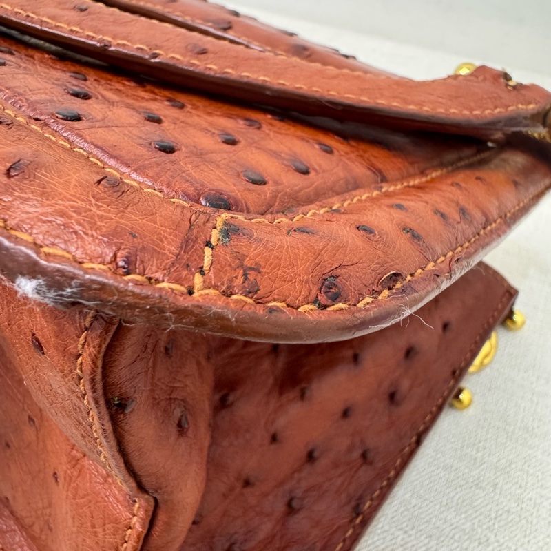 Chloe' 鴕鳥皮手提包-11