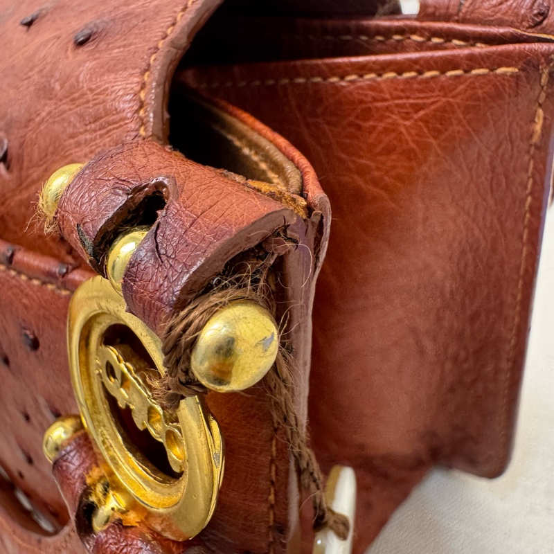 Chloe' 鴕鳥皮手提包-15