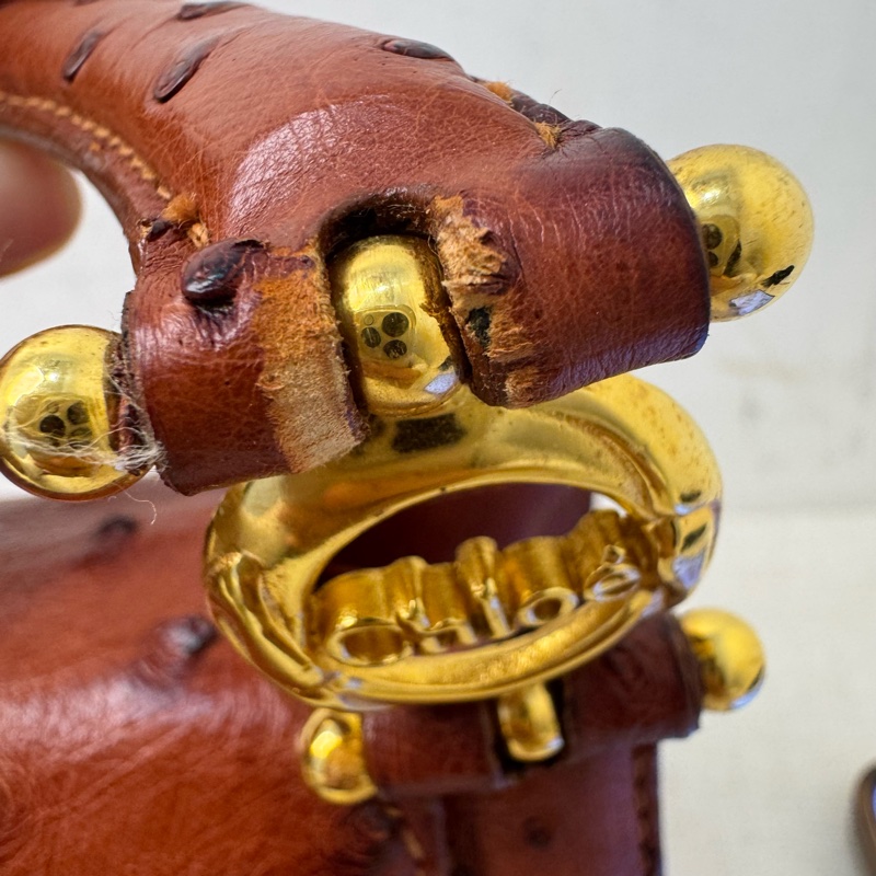 Chloe' 鴕鳥皮手提包-18