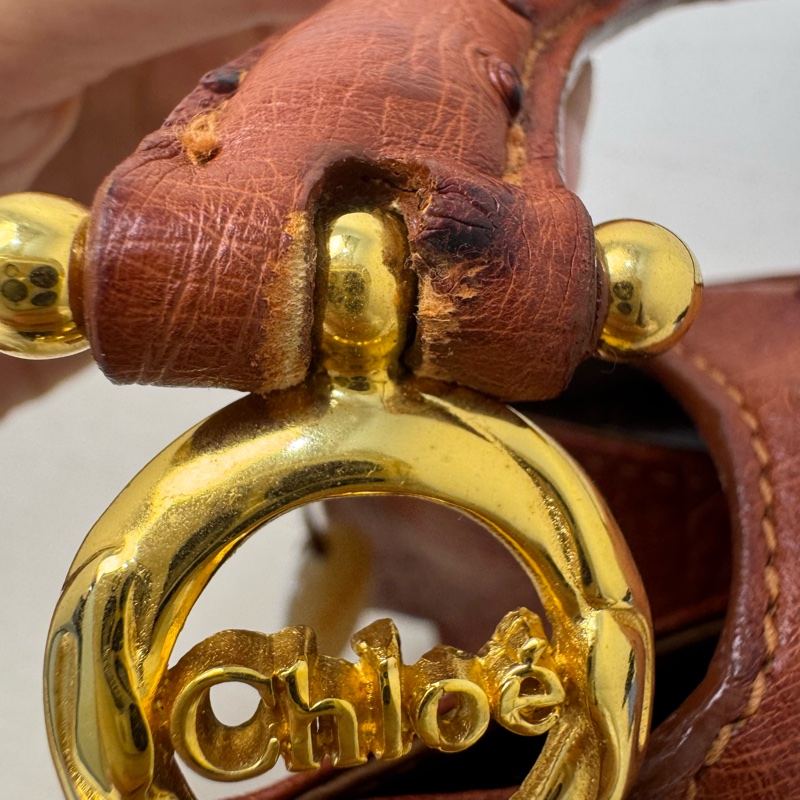 Chloe' 鴕鳥皮手提包-19