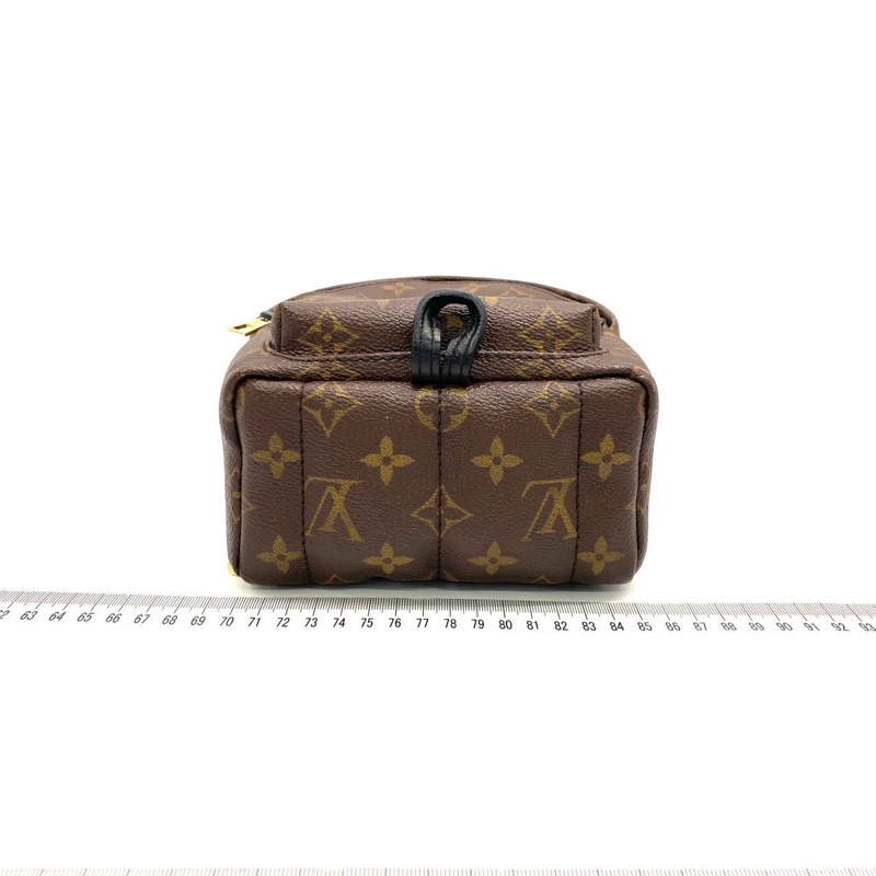 Lv Plam spring mini-3
