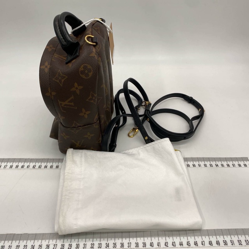 Lv Plam spring mini-6