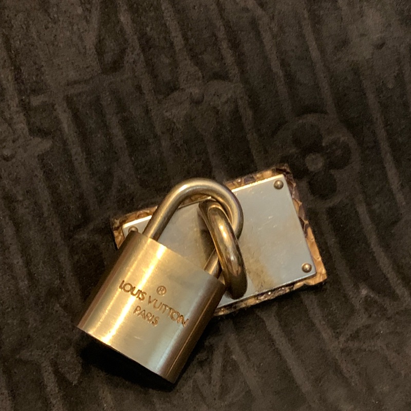 LOUIS VUITTON 2008秋冬走秀限量款稀有蟒蛇皮絨面皮革手提包M95811-34