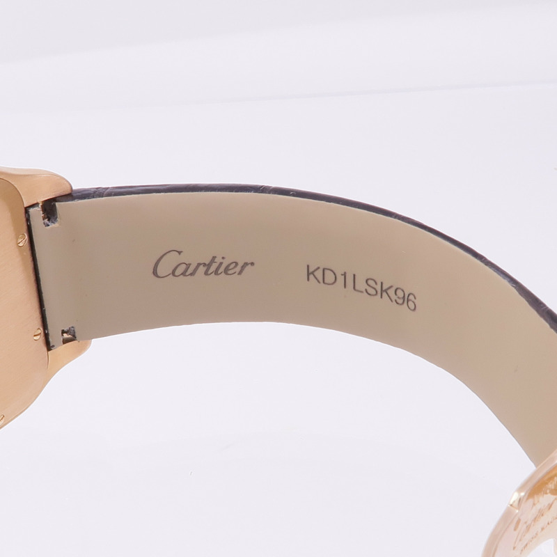 CARTIER Santos Dumont W2009251-8