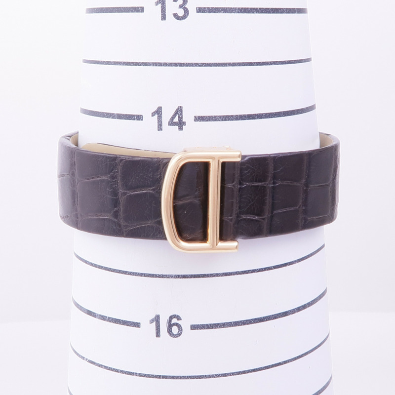 CARTIER Santos Dumont W2009251-11