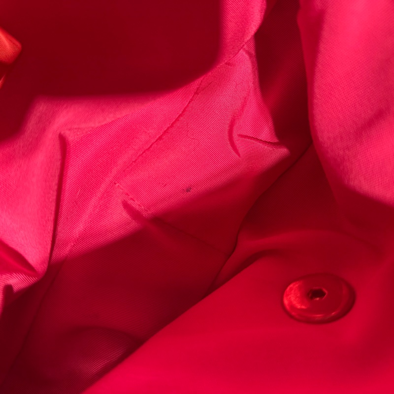 Chanel 瑩光粉布包-4