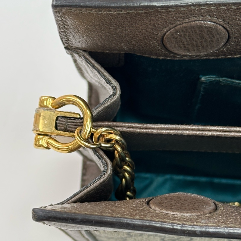 GUCCI/古馳Ophidia小號單肩斜挎夾子包-14