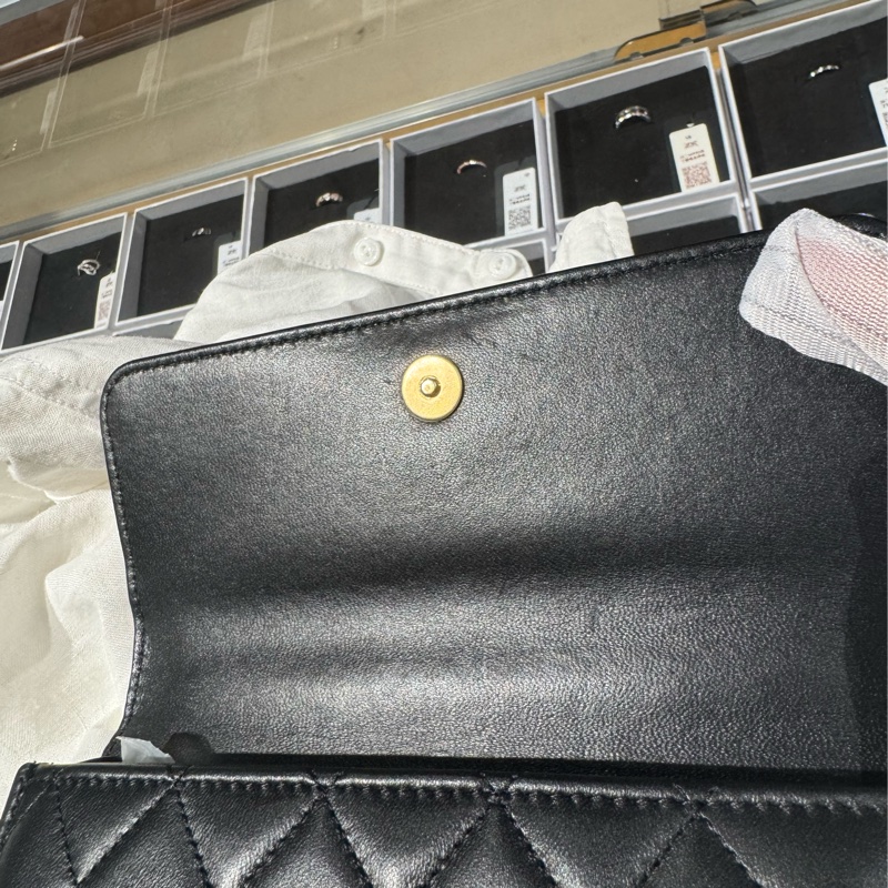 Chanel / 香奈兒 鑲鑽雙獅WOC-3