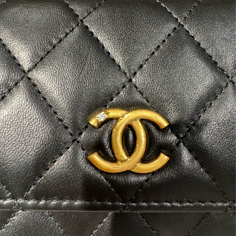 Chanel / 香奈兒 鑲鑽雙獅WOC-18