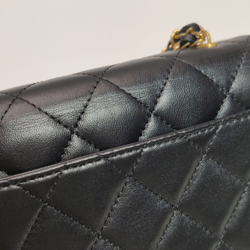 Chanel / 香奈兒 鑲鑽雙獅WOC-20