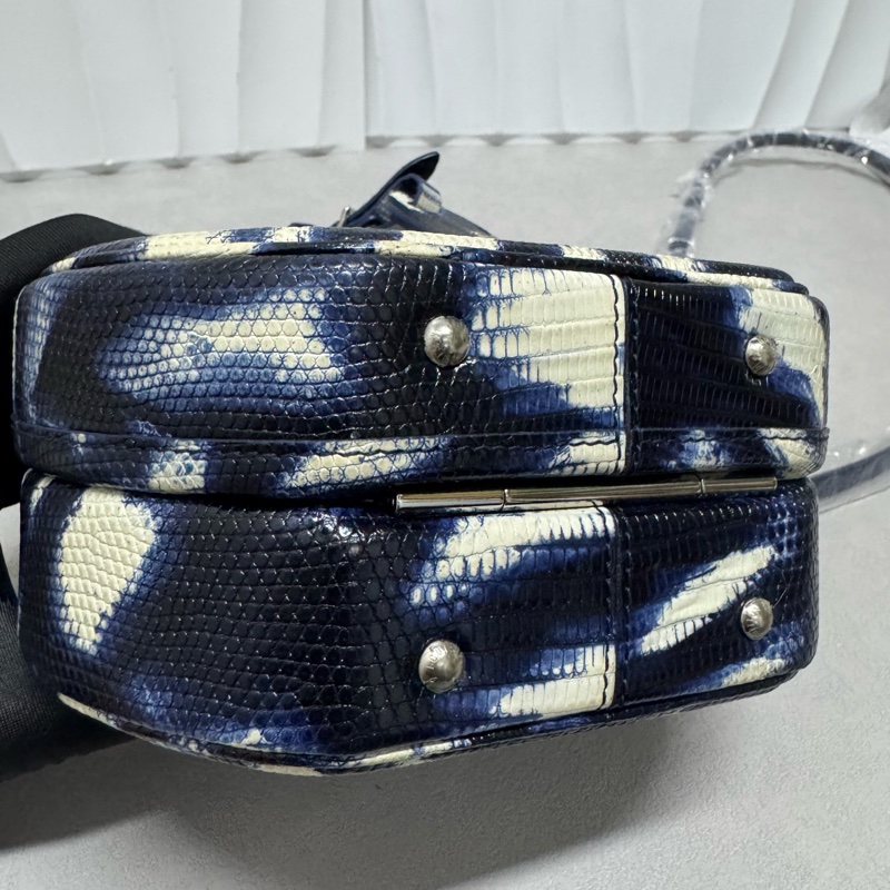 LV / 路易威登 蜥蜴皮 收藏級別 圓餅-3
