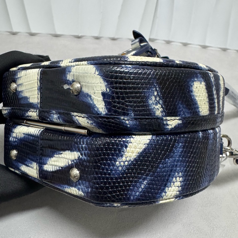 LV / 路易威登 蜥蜴皮 收藏級別 圓餅-8