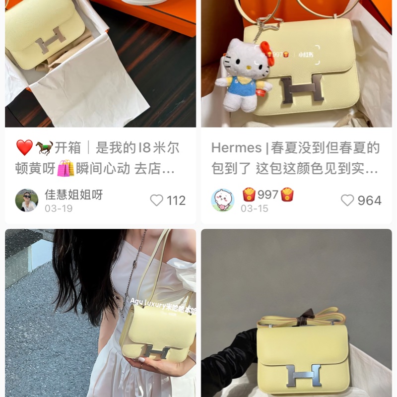 Mini Constance 19 新色I8米爾頓-7