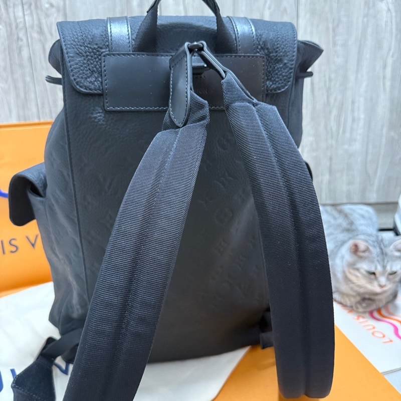 LOUIS VUITTON Christopher MM (M55699-7