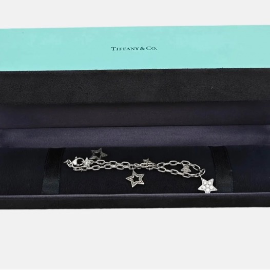 Tiffany 铂金镶钻手链-16