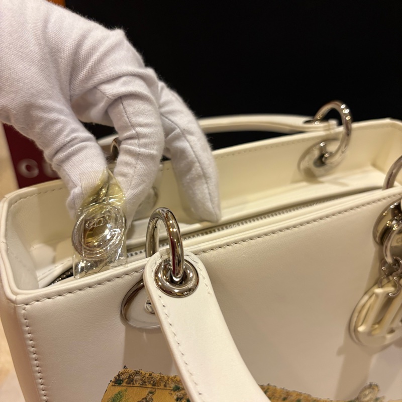 Dior X 安迪沃苛 限量款戴妃包 Lady Dior-2